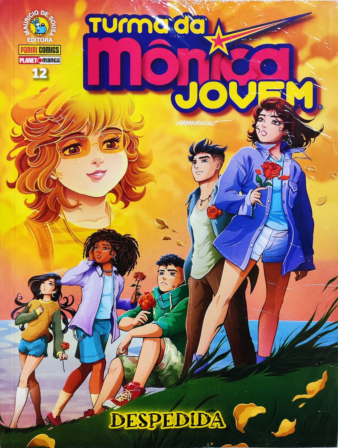 Turma Da M Nica Jovem Terceira S Rie Comic Boom