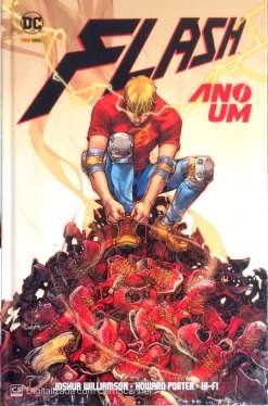 Flash - Ano Um