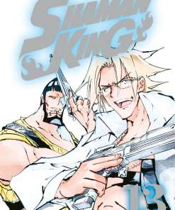 Shaman King #13