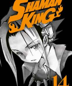 Shaman King #14
