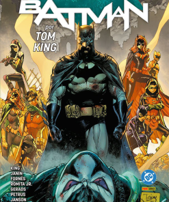 Batman por Tom King #14