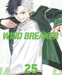 Wind Breaker #25